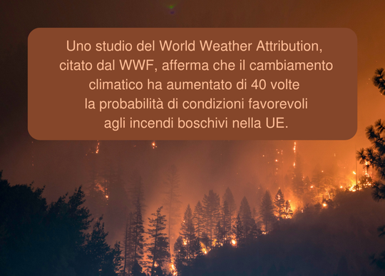 incendi bosco cambio clima.png